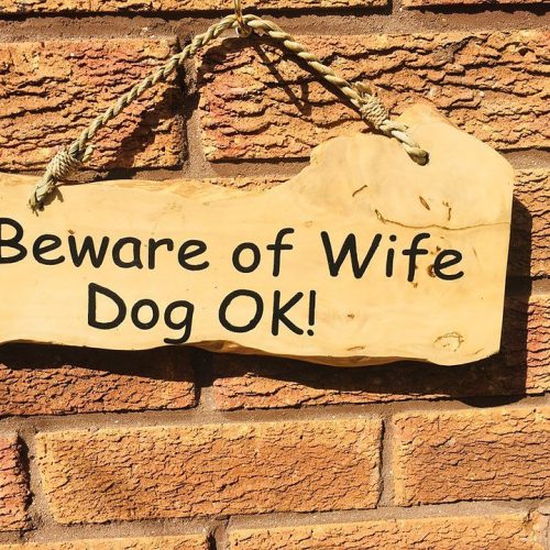Beware of Wife, Dog OK! Humorous Wooden Hanging Plaque