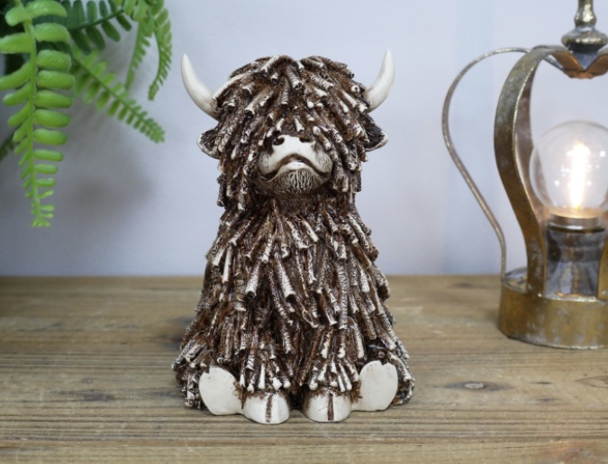 Highland Cow