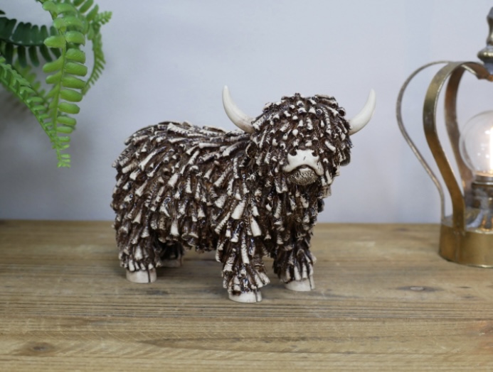 Highland Cow