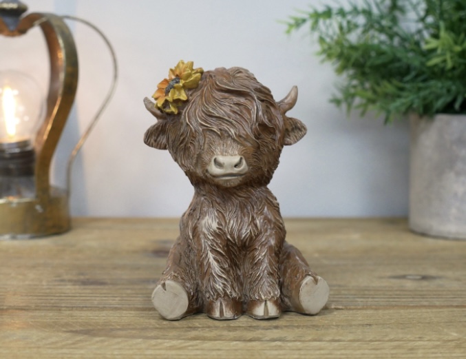 Highland Cow